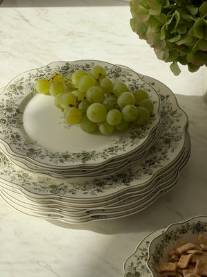 Vintage Rosemont Teller - Set 25-Teilig